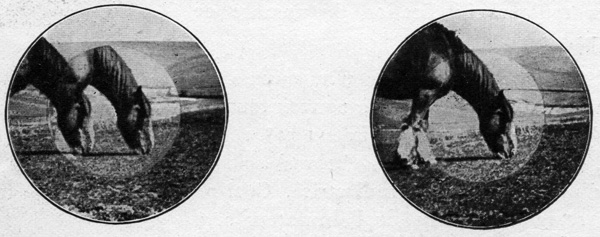 Images t&eacute;l&eacute;m&eacute;triques