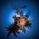 Avatar de l’utilisateur