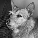 Avatar de l’utilisateur