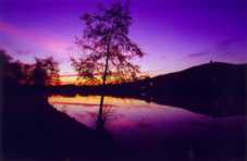 La Moselle &agrave; Metz