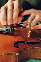 Vision sur l'&acirc;me du violon